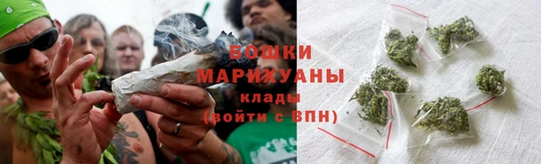 гидра Володарск