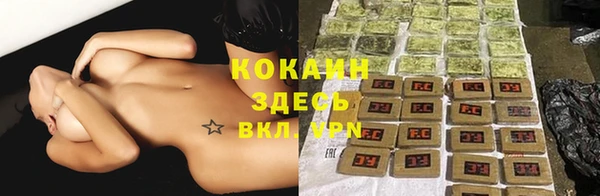 гидра Володарск