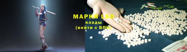 индика Семикаракорск