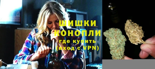 гидра Володарск