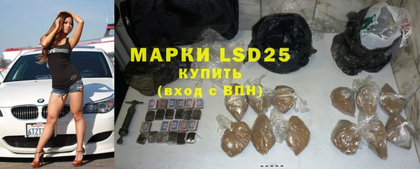 гидра Володарск