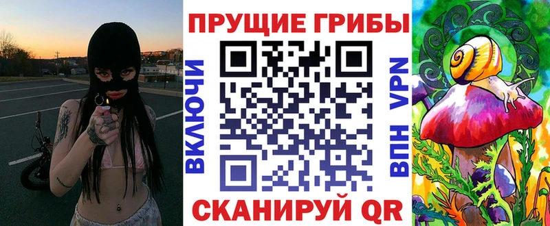 Галлюциногенные грибы Psilocybine cubensis  Волхов 